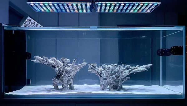 Aquarium modern dan canggih dengan pengaturan aliran air yang terprogram